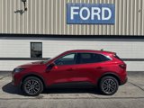 Used 2024 Ford Escape SE image 2