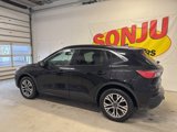 Certified 2020 Ford Escape SEL image 2