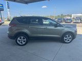Used 2014 Ford Escape SE image 4