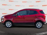 Used 2019 Ford EcoSport SE image 2