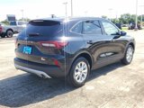 New 2025 Ford Escape Active w/ Tech Pack #1 image 5