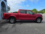 Used 2018 Ford F150 XLT w/ Equipment Group 302A Luxury image 2