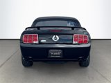 Used 2009 Ford Mustang GT Premium image 6