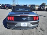 Certified 2022 Ford Mustang Premium image 4