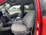 Used 2018 Ford F150 XLT w/ Equipment Group 302A Luxury image 2