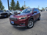 Used 2019 Jeep Cherokee Latitude Plus w/ Comfort/Convenience Group image 2