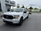 Used 2021 Ford F150 XLT w/ Equipment Group 301A Mid image 6