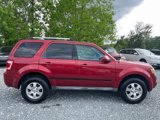 Used 2012 Ford Escape Limited image 6