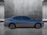 Used 2017 Honda Accord EX-L image 4
