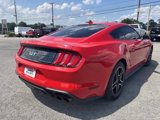 Used 2021 Ford Mustang GT image 5