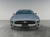 Used 2022 Ford Mustang Premium image 2