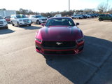 New 2025 Ford Mustang Coupe image 2