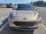 Used 2020 Ford Escape SEL image 2