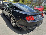 Used 2015 Ford Mustang Coupe image 5