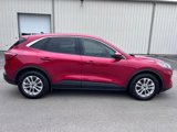 Used 2020 Ford Escape SE image 4