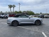 Certified 2022 Ford Mustang Premium image 3