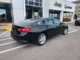 Used 2023 Chevrolet Malibu LT image 5