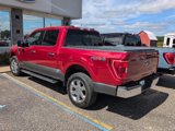 Used 2021 Ford F150 XLT w/ Equipment Group 302A High image 2
