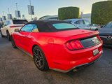 Used 2019 Ford Mustang Premium image 3