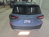 Certified 2024 Ford Escape Platinum image 6