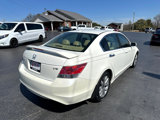 Used 2008 Honda Accord EX-L image 4