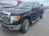 Used 2014 Ford F150 XLT w/ Equipment Group 302A Luxury image 2