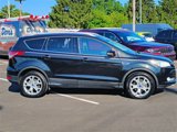 Used 2015 Ford Escape Titanium image 2