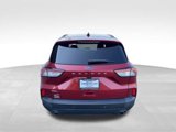 Used 2021 Ford Escape SEL image 6