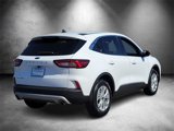 Used 2024 Ford Escape Active image 3