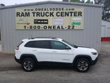 Used 2019 Jeep Cherokee Trailhawk image 2