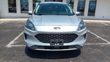 Used 2020 Ford Escape SE image 2