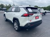 Used 2021 Toyota RAV4 XLE Premium image 5