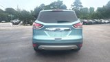 Used 2013 Ford Escape SEL image 5