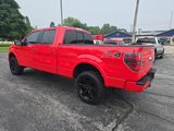 Used 2013 Ford F150 FX4 image 3