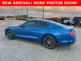 Used 2019 Ford Mustang Premium w/ Equipment Group 201A image 5