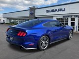 Used 2016 Ford Mustang Premium w/ Equipment Group 201A image 3