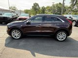 Used 2021 Cadillac XT4 Luxury w/ Cold Weather Package image 2