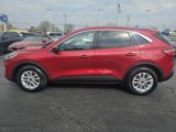 Used 2021 Ford Escape SE w/ Convenience Package image 2