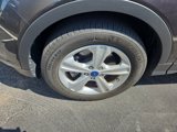Used 2016 Ford Escape SE w/ SE Cold Weather Package image 4