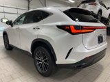 Used 2022 Lexus NX 350 AWD w/ Premium Package image 5