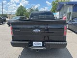 Used 2012 Ford F150 FX2 w/ FX Luxury Pkg image 5