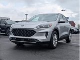 Used 2020 Ford Escape SE image 3