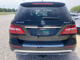 Used 2015 Mercedes-Benz ML 350 4MATIC image 6