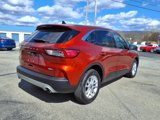Used 2020 Ford Escape SE image 3
