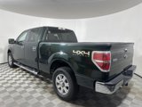 Used 2014 Ford F150 XLT w/ XLT Chrome Package image 5