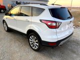 Used 2017 Ford Escape SE w/ Equipment Group 201A image 3
