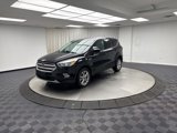 Used 2019 Ford Escape SE image 3