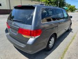 Used 2010 Honda Odyssey EX-L image 5