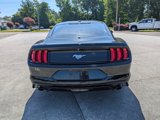 Used 2019 Ford Mustang Coupe image 4