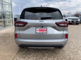 Used 2024 Ford Escape ST-Line image 6